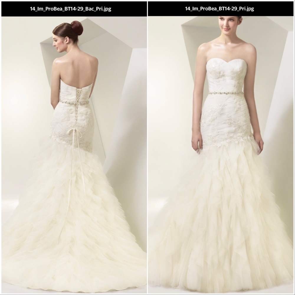 Ivory tulle and ruching Enzoani
